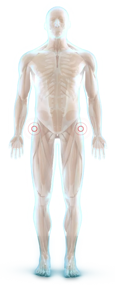 glassman from the front