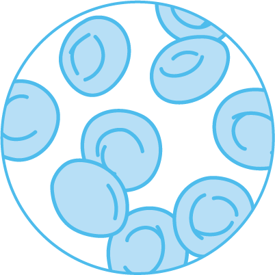 icon showing perfusion of cells